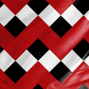 showing printed form of Plaid pattern Red